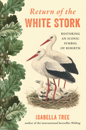 Return of the White Stork by Isabella Tree