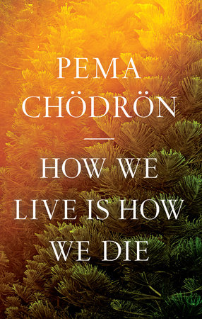 The Places That Scare You by Pema Chödrön: 9781611805963