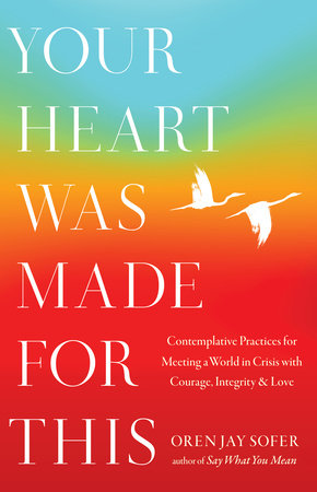 Your Heart Was Made for This by Oren Jay Sofer: 9781645472001
