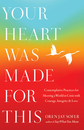 Your Heart Was Made for This by Oren Jay Sofer: 9781645472001 |  : Books