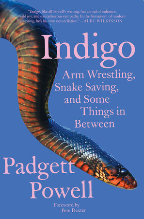 Indigo by Padgett Powell