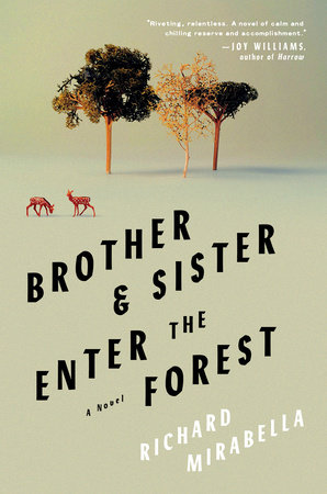 Brother & Sister Enter the Forest Book Cover Picture