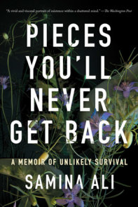 Pieces You'll Never Get Back