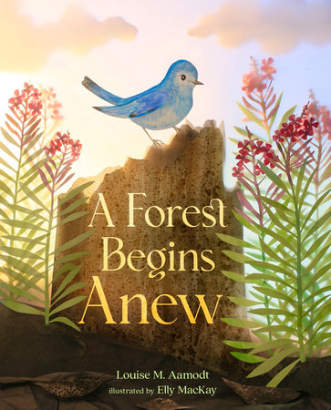 A Forest Begins Anew by Louise M. Aamodt