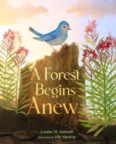 A Forest Begins Anew