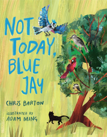 Not Today, Blue Jay by Chris Barton