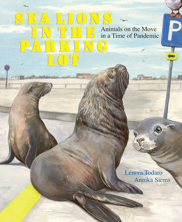 Sea Lions in the Parking Lot by Lenora Todaro