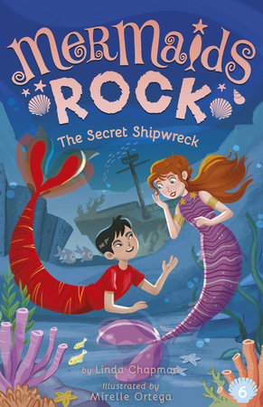 The Secret Shipwreck by Linda Chapman