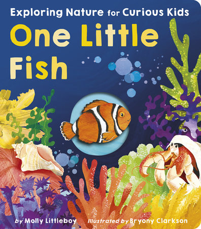 One Little Fish by Molly Littleboy; illustrated by Bryony Clarkson