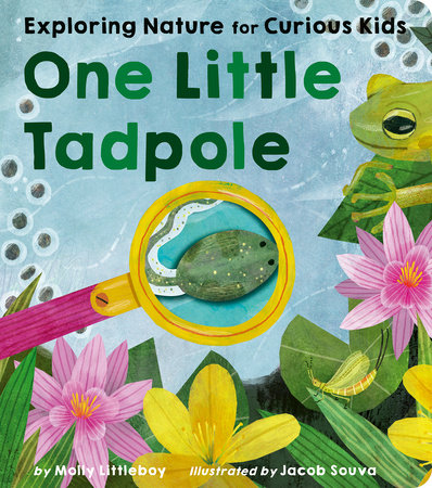 One Little Tadpole by Molly Littleboy