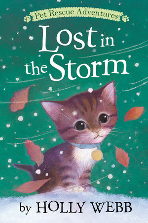 Lost in the Storm by Holly Webb