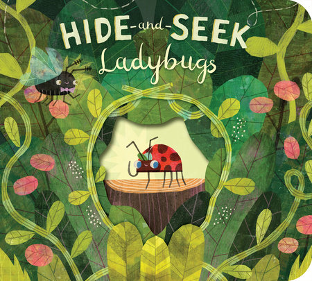 Hide-and-Seek Ladybugs by Paul Bright