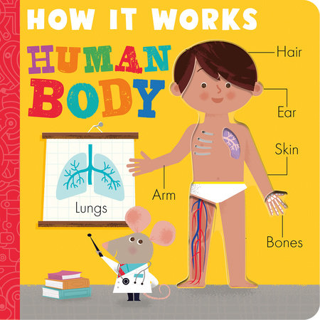 How it Works: Human Body by Amelia Hepworth