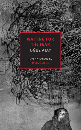 Waiting for the Fear by Oguz Atay