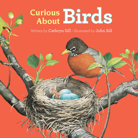 Curious About Birds by by Cathryn Sill; illustrated by John Sill