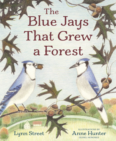 The Blue Jays That Grew a Forest by Lynn Street