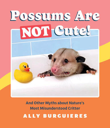 Possums Are Not Cute! by Ally Burguieres
