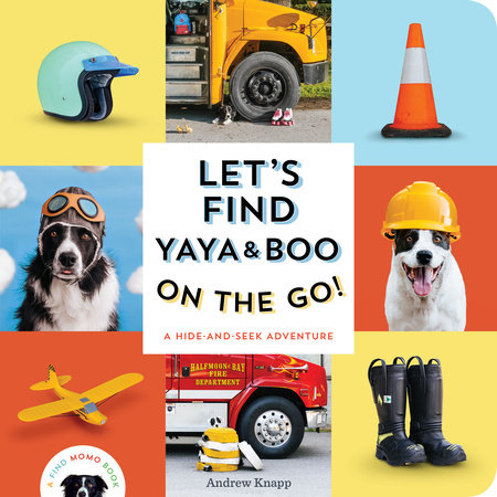 Let's Find Yaya and Boo on the Go! by Andrew Knapp