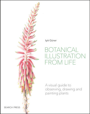Botanical Illustration from Life by Isik Guner