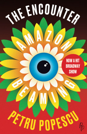 The Encounter by Petru Popescu