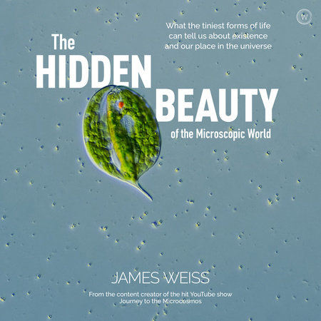 The Hidden Beauty of the Microscopic World by James Weiss