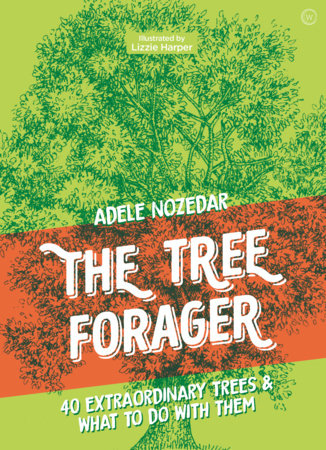 The Tree Forager by Adele Nozedar