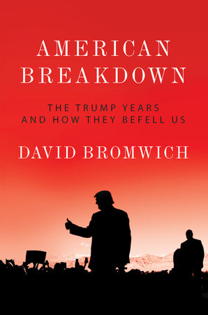American Breakdown by David Bromwich