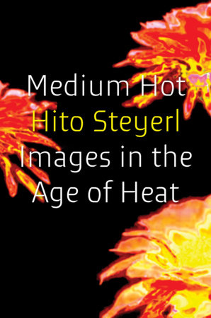 Medium Hot by Hito Steyerl