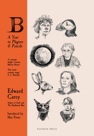 B by Edward Carey