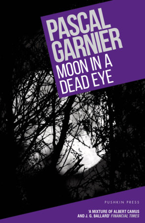 Moon in a Dead Eye by Pascal Garnier