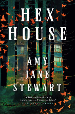 Hex House by Amy Jane Stewart