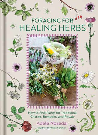 Foraging for Healing Herbs by Adele Nozedar