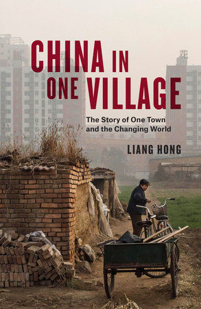 China in One Village by Liang Hong