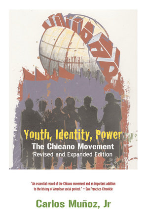 Youth, Identity, Power by Carlos Munoz
