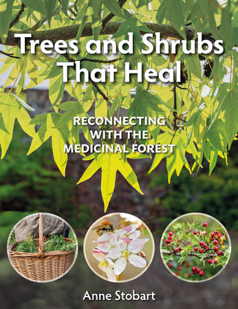 Trees and Shrubs that Heal by Anne Stobart