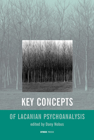 Key Concepts of Lacanian Psychoanalysis by Dany Nobus