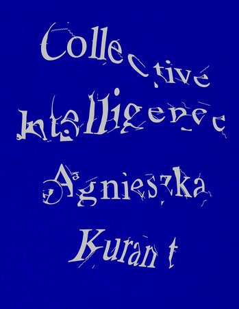 Agnieszka Kurant Collective Intelligence by 