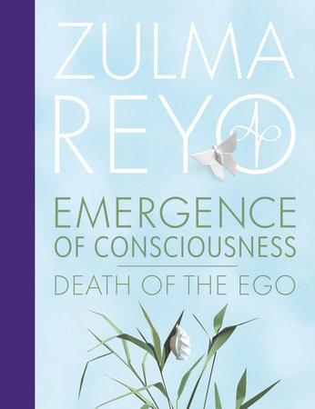 Emergence of Consciousness