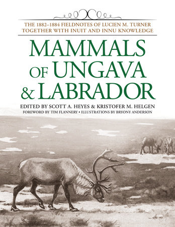 Mammals of Ungava and Labrador by 