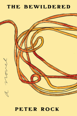 The Bewildered by Peter Rock