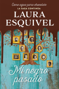 A Lupita Le Gustaba Planchar By Laura Esquivel 9781101969847 Penguinrandomhouse Com Books