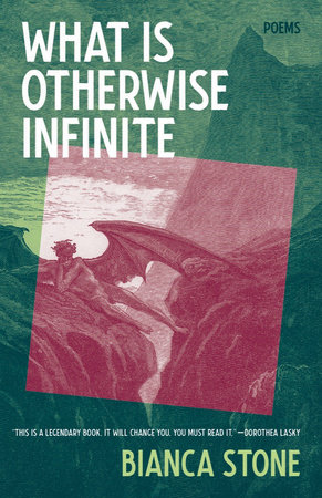 What Is Otherwise Infinite by Bianca Stone