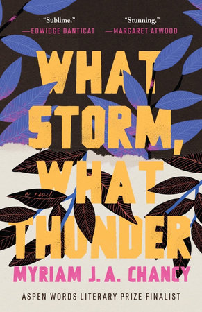 What Storm, What Thunder by Myriam J.A. Chancy
