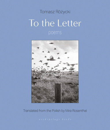 To the Letter by Tomasz Rozycki