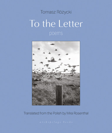 To the Letter by Tomasz Rozycki