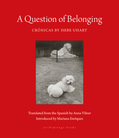 A Question of Belonging by Hebe Uhart
