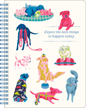 Spiral Notebook: Expect the Best Things to Happen Today. by COMPENDIUM