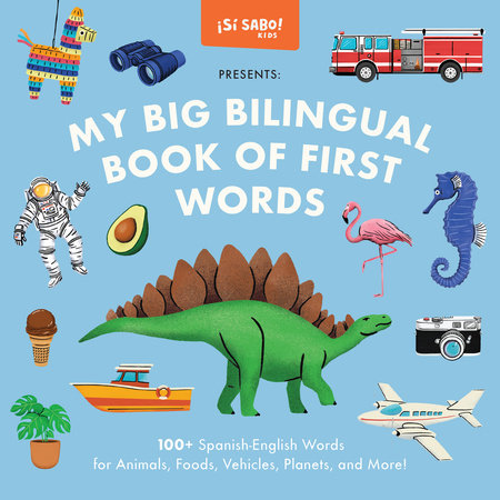 My Big Bilingual Book of First Words by Mike Alfaro