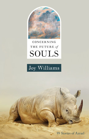 Concerning the Future of Souls by Joy Williams