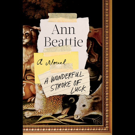 A Wonderful Stroke of Luck by Ann Beattie